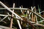 edgen_drygrass edgen_drygrass