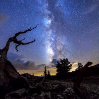 'Ascendance' by: Henry Jun Wah Lee