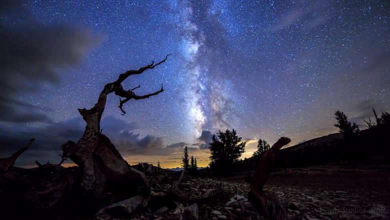 ‘Ascendance’ by: Henry Jun Wah Lee