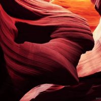 'The Wild Heart' by: Henry Jun Wah Lee / Evosia